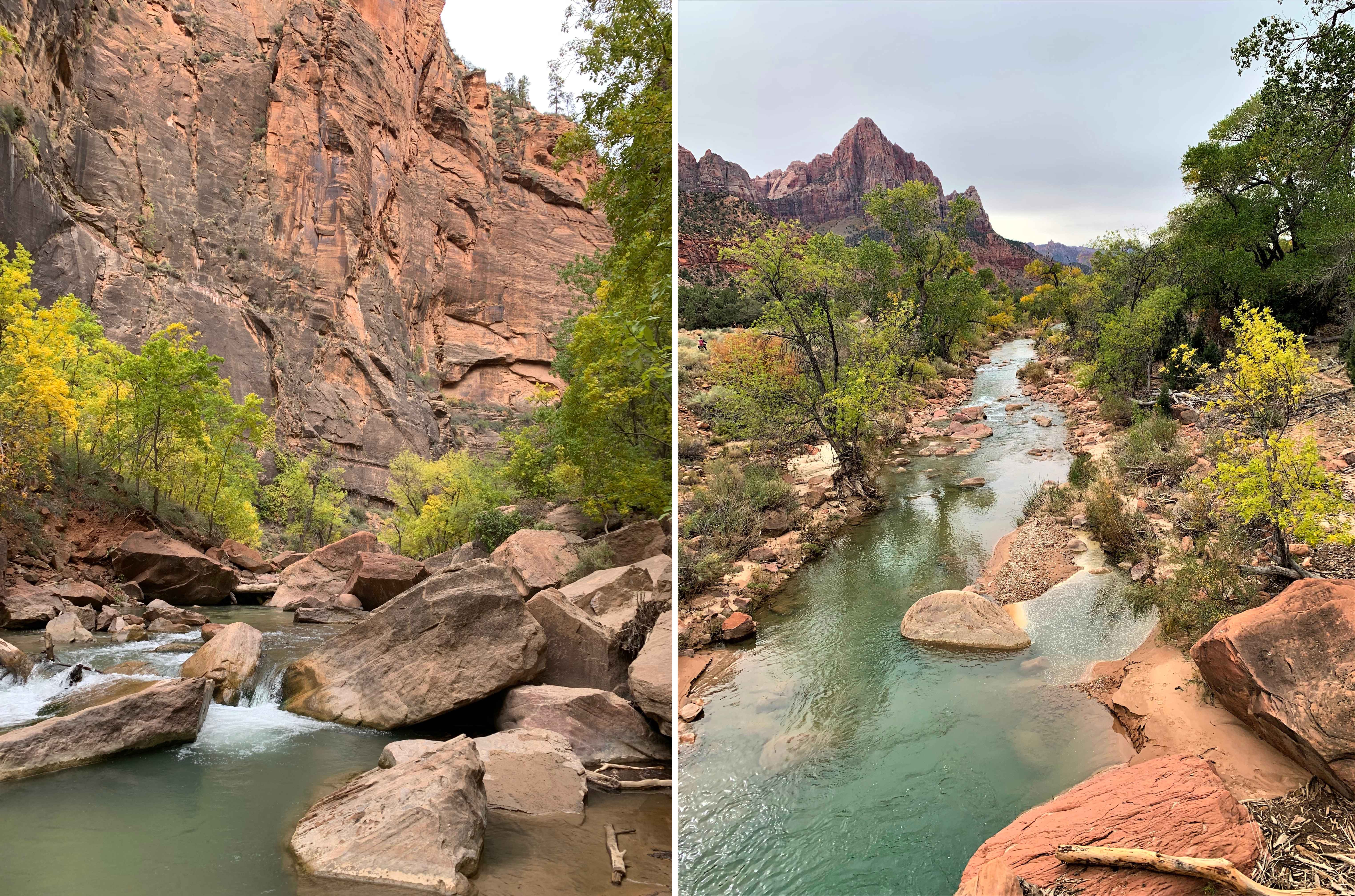 Zion NP